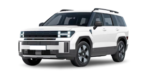 Leasing Coches Hyundai Santa Fe - 1.6T PHEV 4X4 AT Maxx