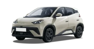 Leasing Coches BYD Dolphin Surf - Boost